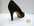 ESCARPIN REQINS PRINCESSE