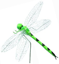 2704_10_vert.jpg
