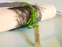 ruban abaca