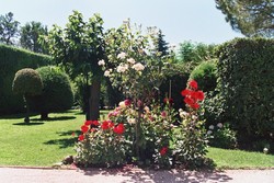 Jardin