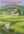 DVD Peindre les paysages a l'acrylique N�20 - DVD technique de peinture Acrylique - ART'PALETTE