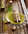 Set de Table sinamay - nappes , surnappes, chemin table, et  serviettes - Loc'Vaisselle