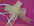 organza ivoire