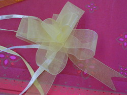 organza ivoire