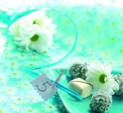 chemin de table detail
