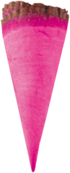 fushia