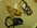 Museli�res cuirs