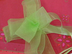 organza vert anis