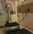 Power Plate.jpg