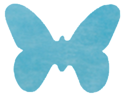 papillon turquoise