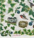 Papier de riz Japonais Th�me Les oiseaux DFT032