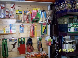 100_0436.JPG
