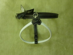 Harnais cuir.JPG