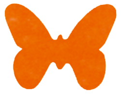 papillon orange