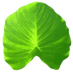 2808_10_vert.jpg