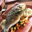 Poissons de M�diterran�e
