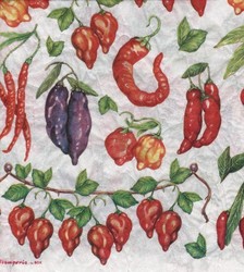 Papier de riz Japonais Th�me Piments DFT123 - Papier de riz Japonais - ART'PALETTE