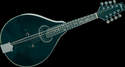 Recording King Mandolines - Guitares : Recording King - La Maison de la Musique
