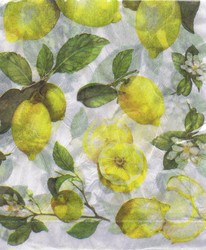 Papiers de riz Japonais Th�me Les citrons DFT104 - Papier de riz Japonais - ART'PALETTE