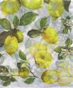 Papiers de riz Japonais Th�me Les citrons DFT104