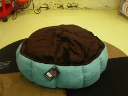 COUSSIN CITROUILLE