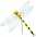 2704_02_jaune.jpg