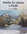 DVD  Peindre les saisons � l'huile n� 65 - DVD techniques de peinture � l'huile - ART'PALETTE
