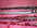 Laisses Chipie et In�s