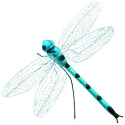 2704_08_bleu.jpg