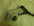 Museli�re grille fer