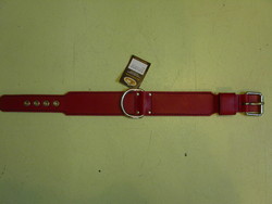 Collier large terrier