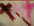 organza rose fushia bordeau