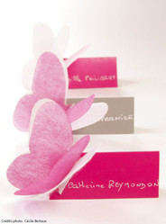Papillon non tiss� - decors de table - Loc'Vaisselle