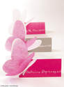 Papillon non tiss�