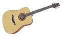 Guitares �lectro LAG folks & classiques  - Guitares & Accessoires - La Maison de la Musique