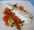 Filets - Poissons travaill�s - LEGUMES ET POISSONS DU GARD A DOMICILE