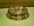 Gamelle r�sine  36 �