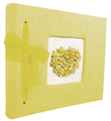 livre d'or jaune
