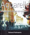 DVD Aquarelle "peindre en 3 coups de pinceau!"
