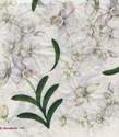 Papier de riz Japonais Th�me Orchid�es blanches DFT110