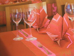 serviette dinilin