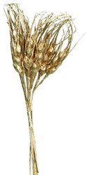 epis or