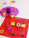set de table Tarlatane couleur