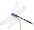 2704_16_parme.jpg