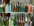 Parfums et shampooings - PRODUITS D'HYGIENE - CHIEN ET CHAT