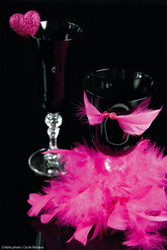 plume fushia
