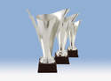 Coupes en argent