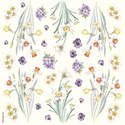 Papier de riz Th�me Narcisses DFT086