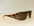 LUNETTES DE SOLEIL DOLCE GABBANA 6010 MARRON - LUNETTES DE SOLEIL D&amp;G - OPTIQUE 21