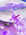 Epis de bl� 10 cm - 16 cm - mariage - Loc'Vaisselle